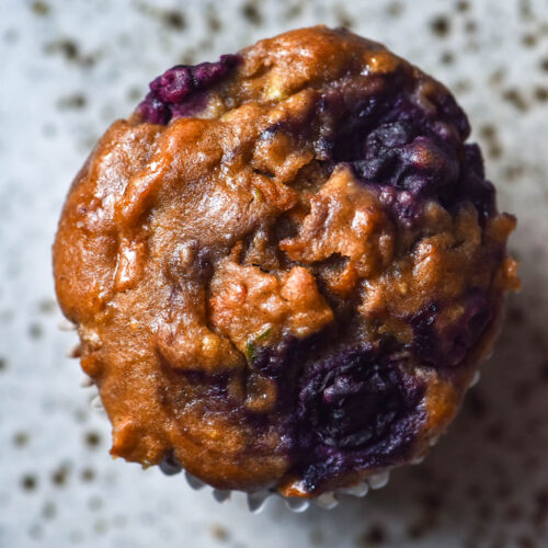An aerial macro image of a gluten free breakfast muffin studded with blueberries on a white speckled ceramic plate