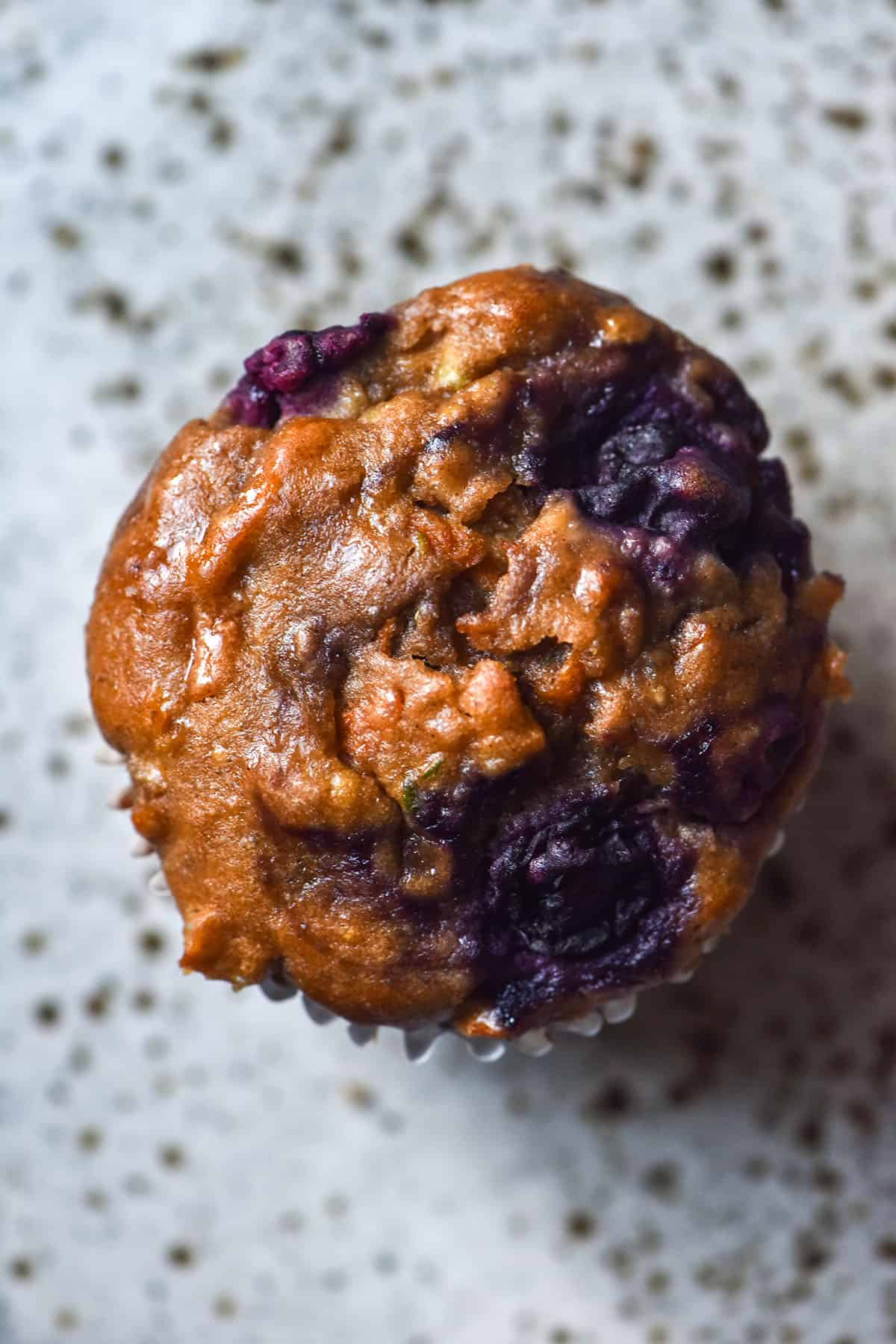 An aerial macro image of a gluten free breakfast muffin studded with blueberries on a white speckled ceramic plate
