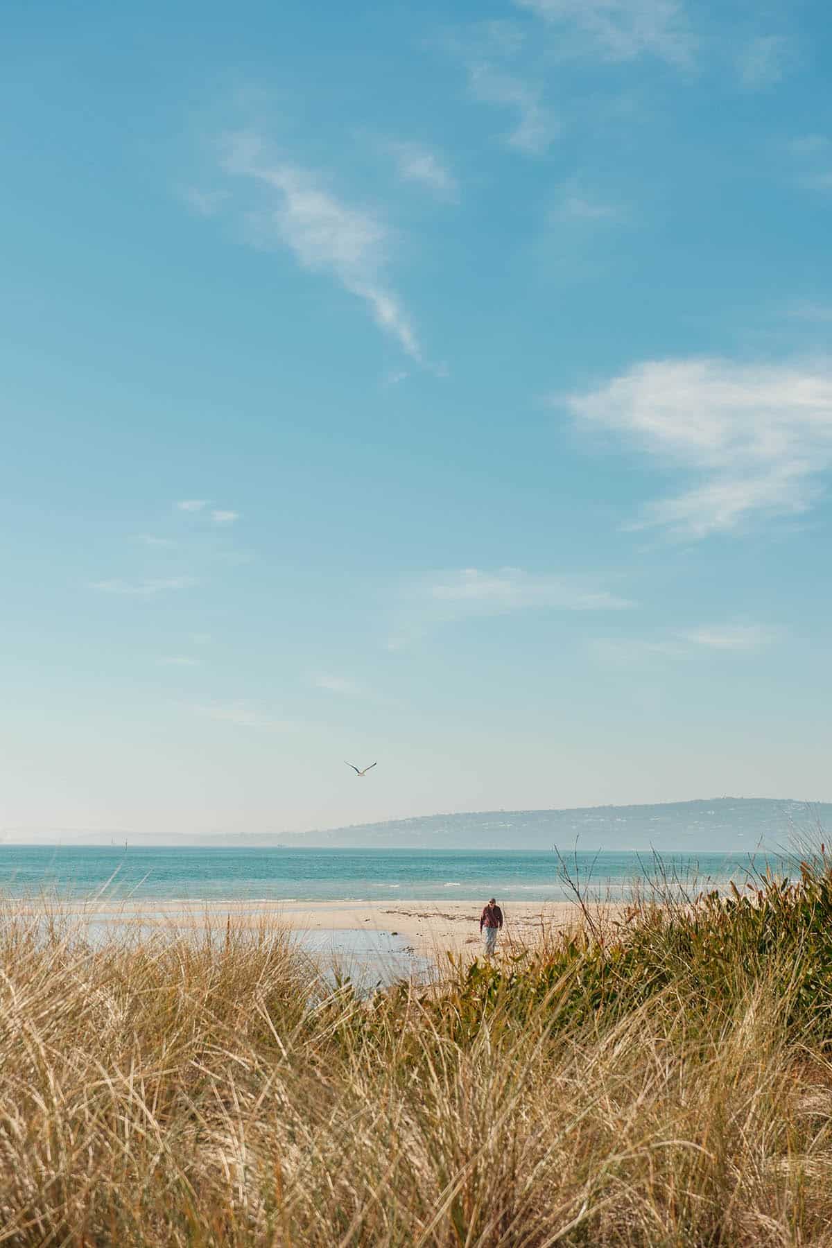 An image of a man walking along McCrae beach on the Mornington Peninsula on a sunny day