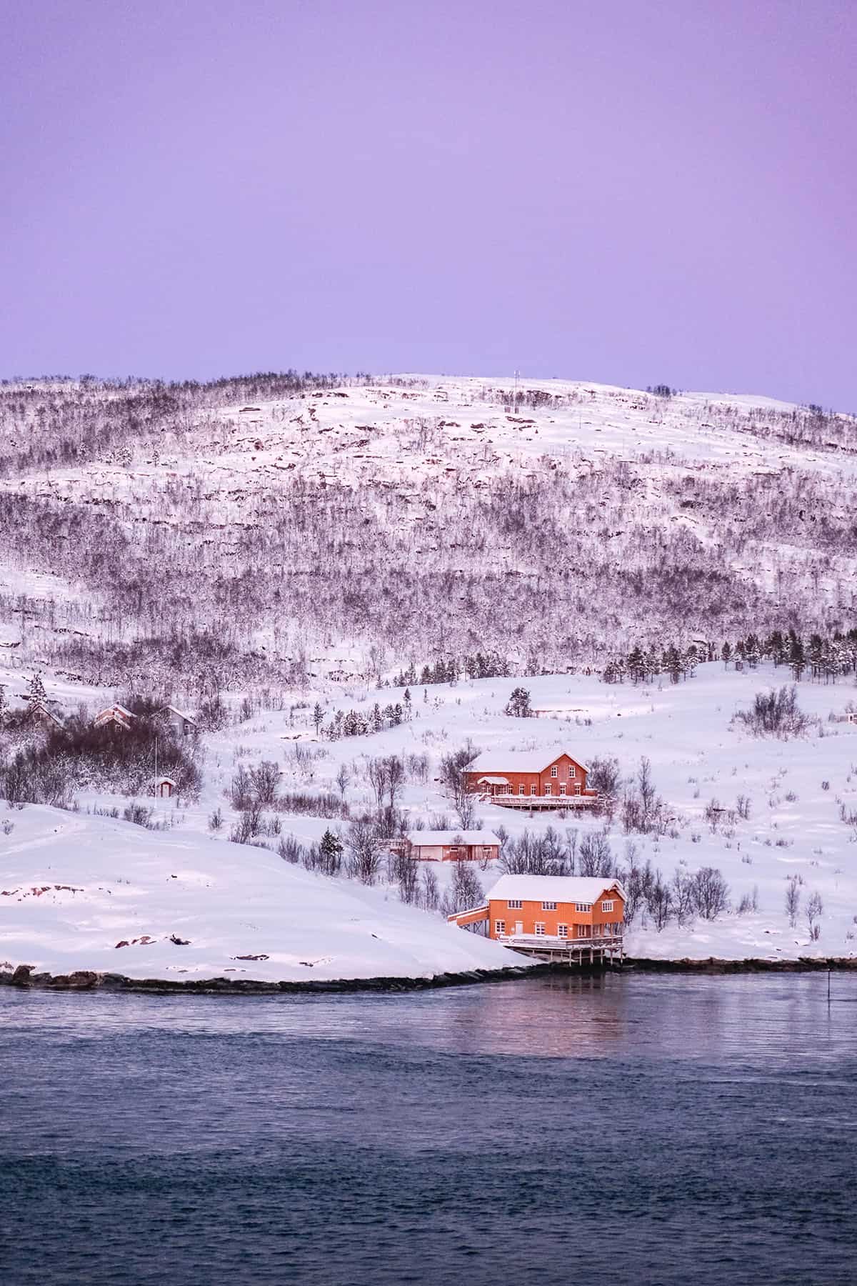 An image of yellow rorbu in a snowy coastal Norwegian town. The sky is a vibrant sunset purple