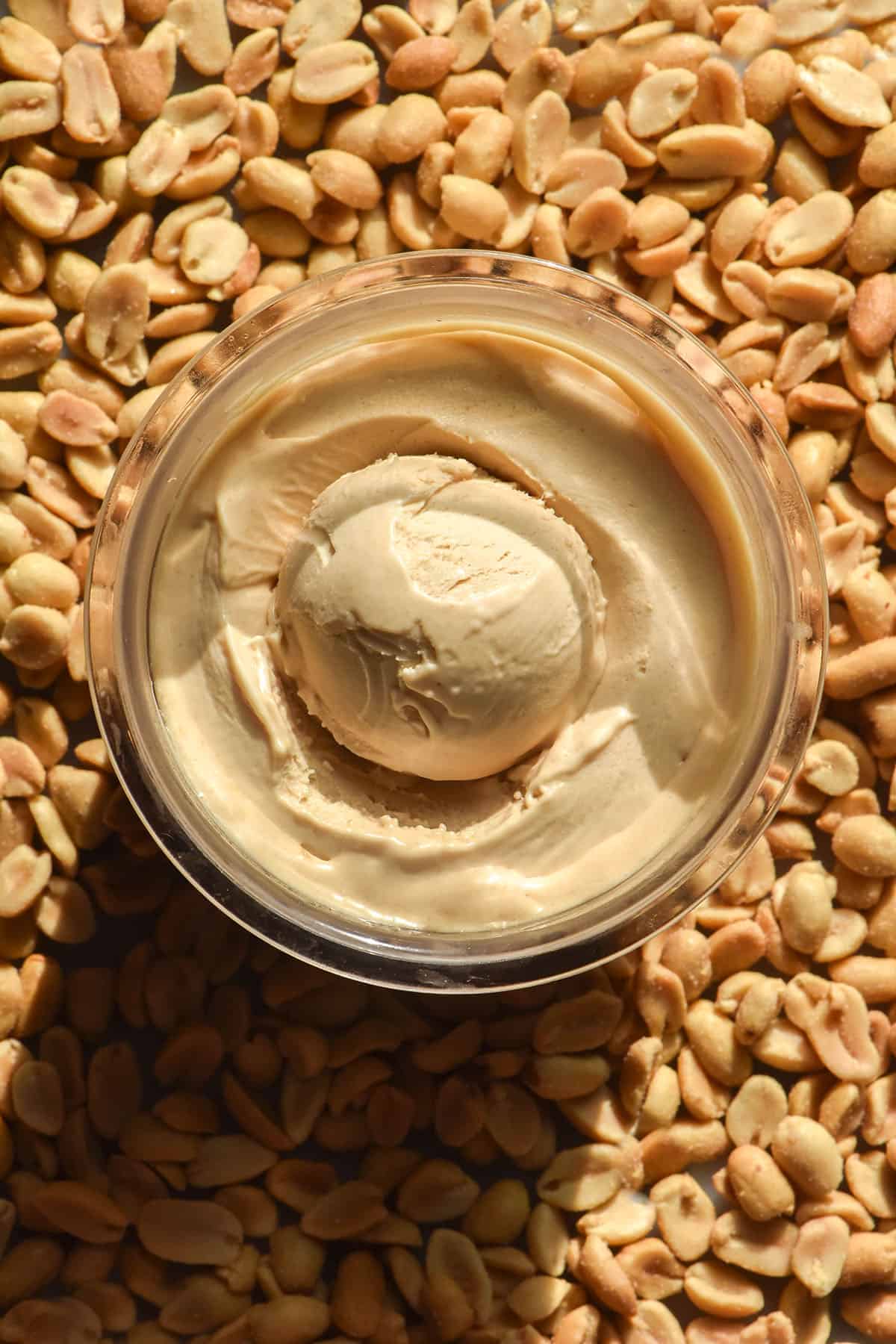 An aerial image of a tub of Ninja Creami peanut butter ice cream. The tub sits in bright sunlight and is surrounded by roasted peanuts.
